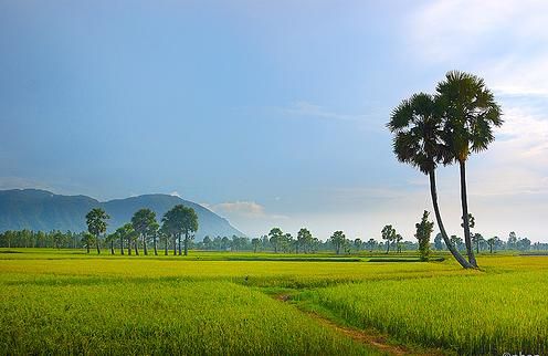giới thiệu các địa điểm du lịch ở Việt Nam, đã ghé sẽ không muốn rời giới thiệu các địa điểm du lịch ở Việt Nam, đã ghé sẽ không muốn rời