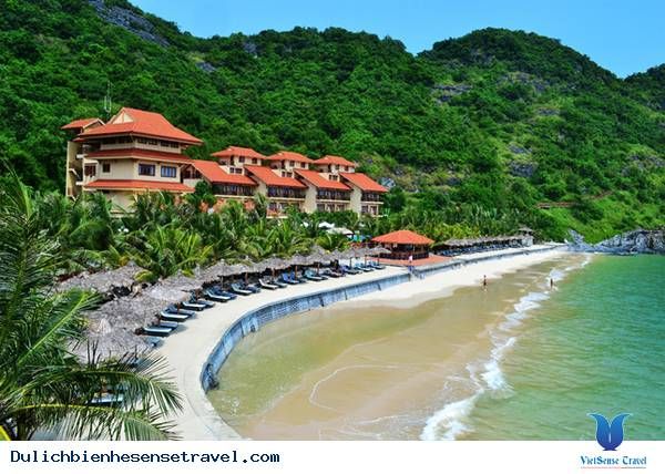 Hướng dẫn những bãi biển đẹp nhất Việt Nam bạn cần lưu lại Hướng dẫn những bãi biển đẹp nhất Việt Nam bạn cần lưu lại