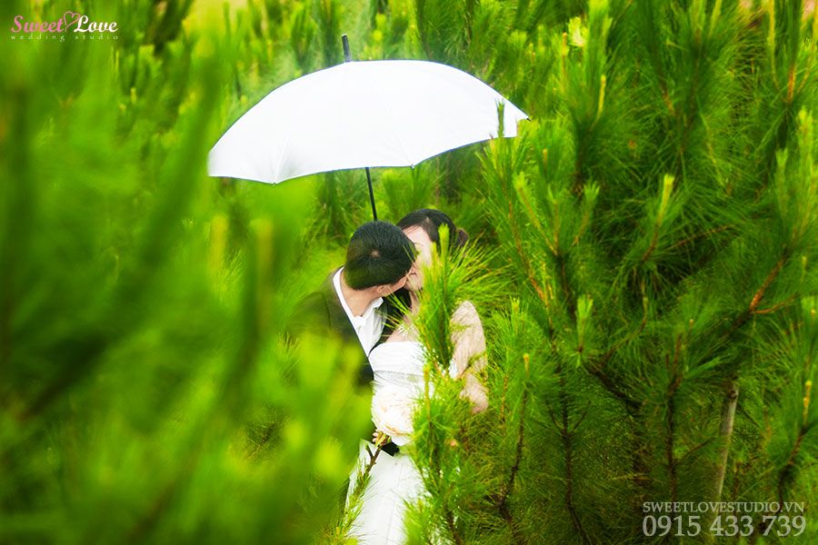 Tổng hợp các địa điểm chụp hình đẹp ở Đà Lạt cần giữ cho mình