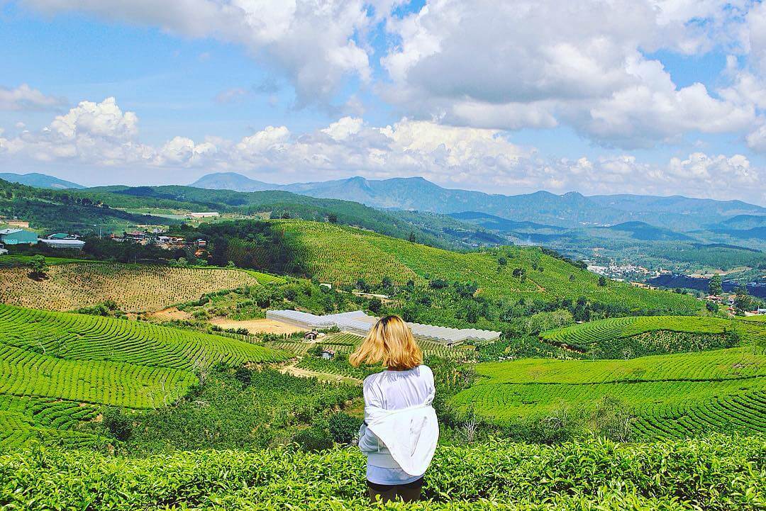 Địa Điểm Check In Đà Lạt