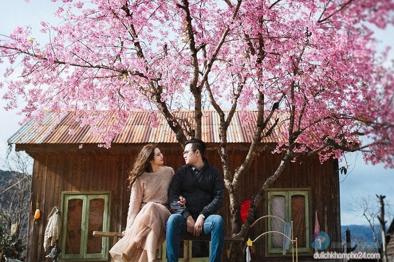 Nên đi du lịch Đà Lạt vào mùa nào