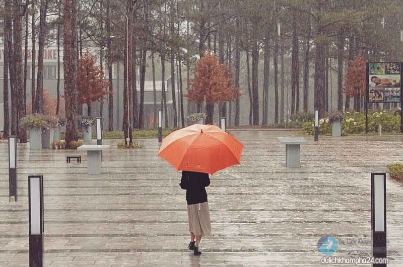 Nên đi du lịch Đà Lạt vào mùa nào