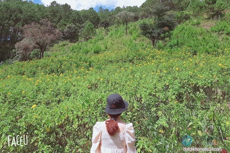 Nên đi du lịch Đà Lạt vào mùa nào