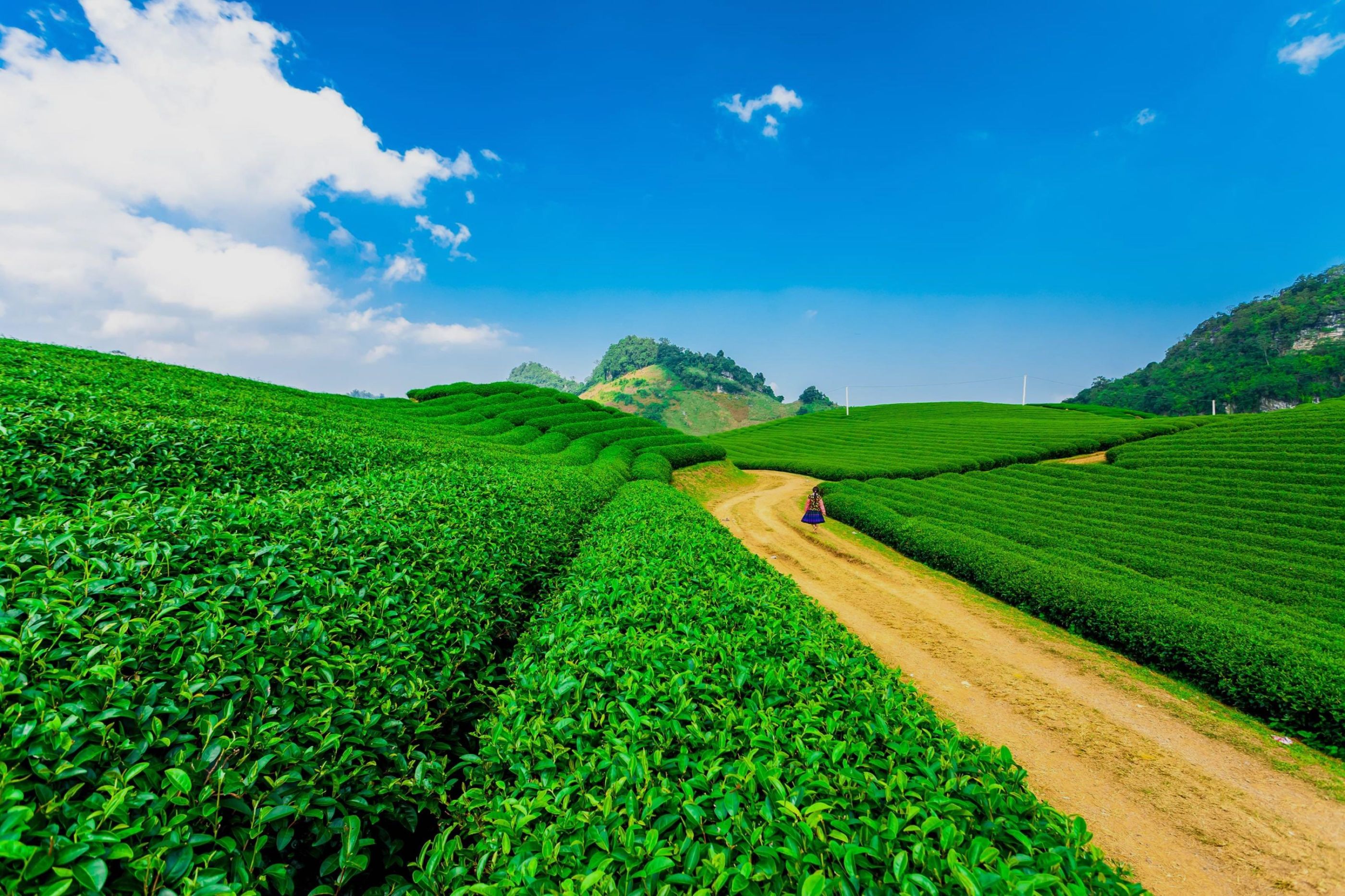 20 Homestay và Căn hộ hàng đầu tại Mộc Châu huyện | StayList