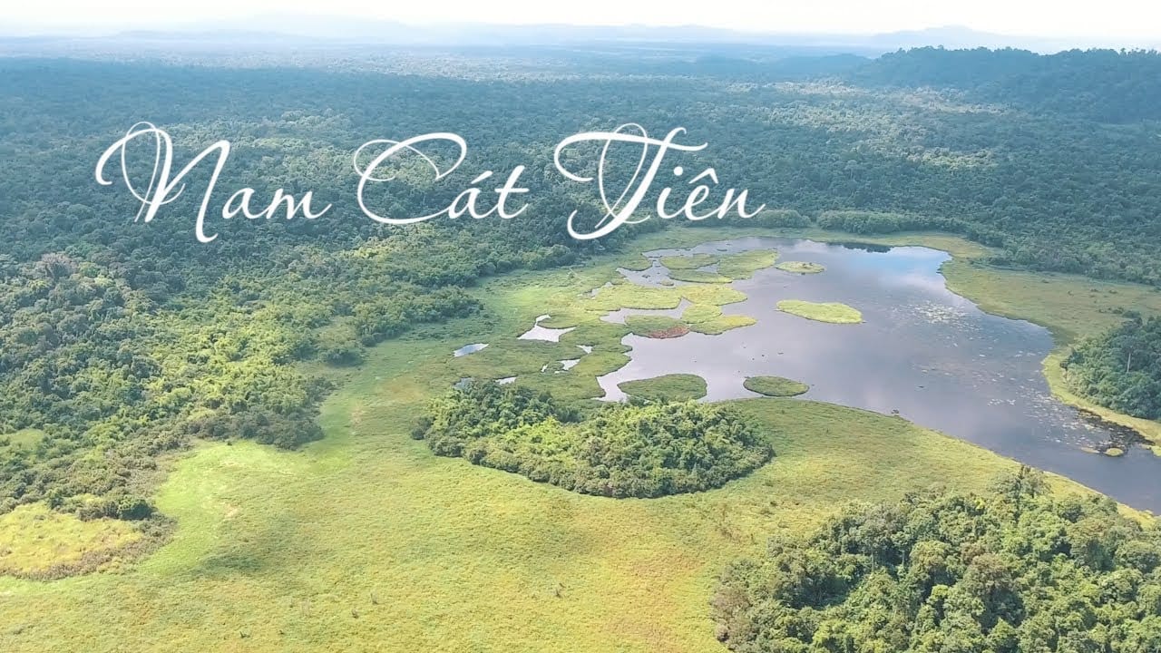 Rừng quốc gia Nam Cát Tiên tuyệt đẹp qua góc máy Flycam - YouTube