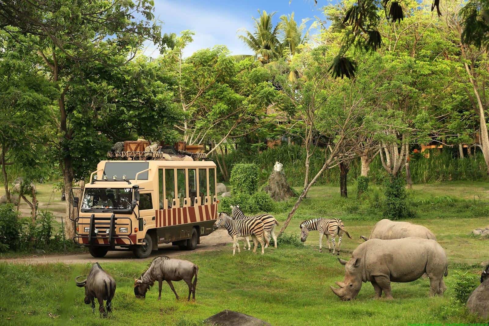 Dạo chơi Safari trong chương trình tour Sài Gòn Phú Quốc 3 ngày 2 đêm - Vé safari Phú Quốc