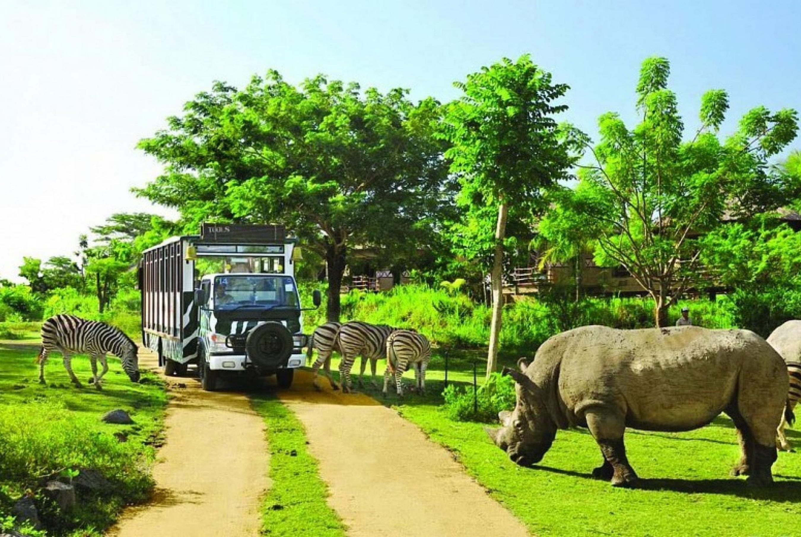 Vườn Thú Safari World - Thái Lan – Neworld Travel