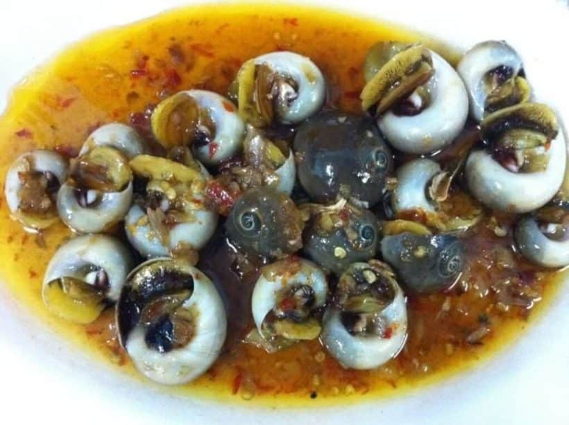 Top 10 quán ốc Vũng Tàu giá rẻ ngon cực phẩm ăn là mê đáng ghé nhất