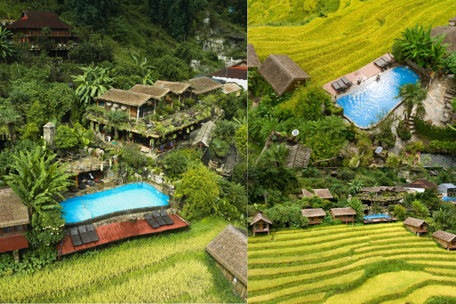 Eco Palms House – Khám phá không gian văn hóa giữa lòng Sapa với mái rơm nhân tạo.